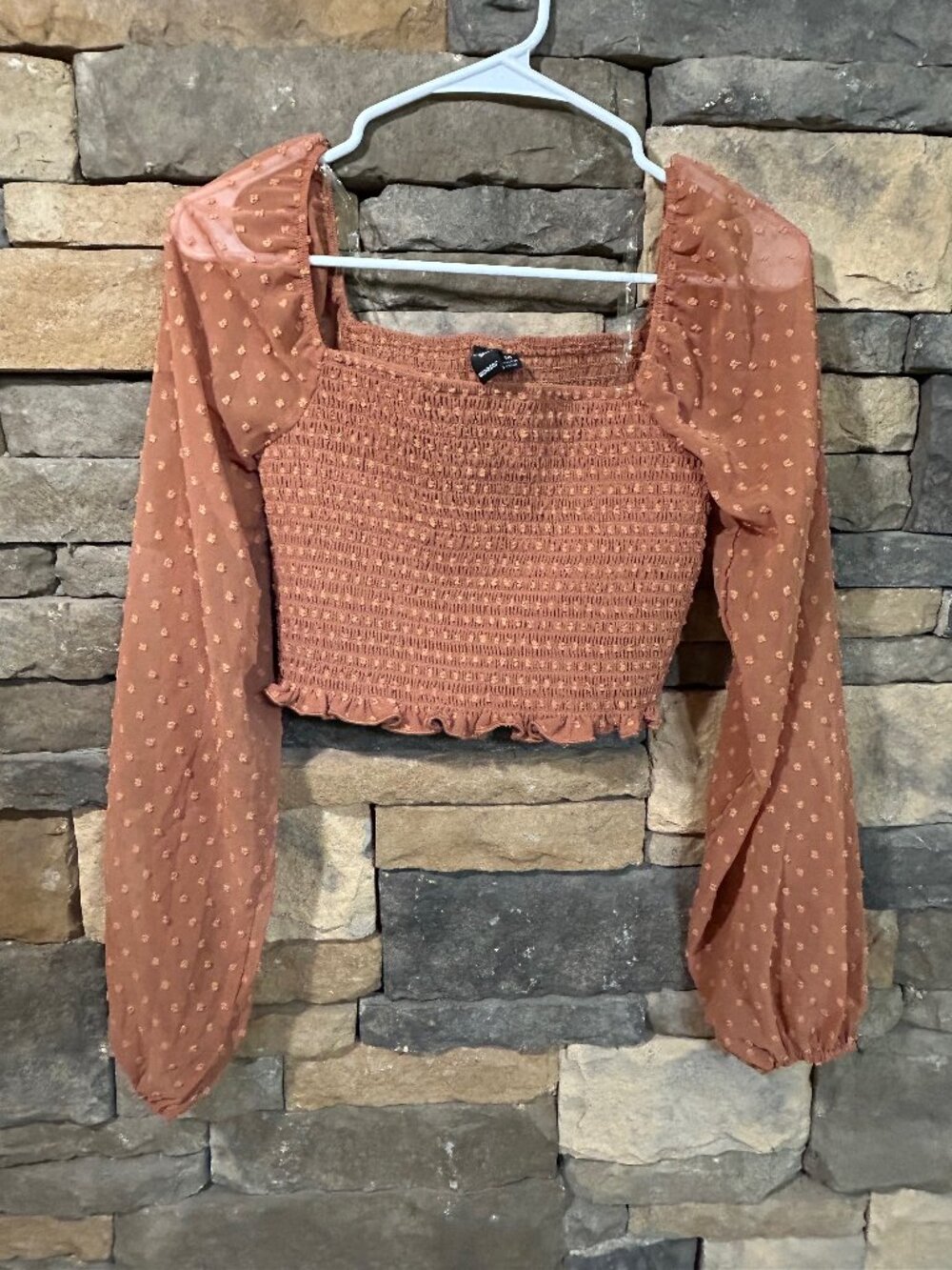 Windsor Swiss Dot Smocked Bodice Long Sleeve Brown Crop Top